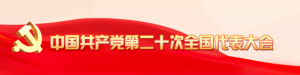 党的二十大