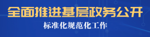 全面推进基层政务公开标准化规范化工作