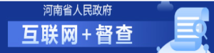 互联网+督查